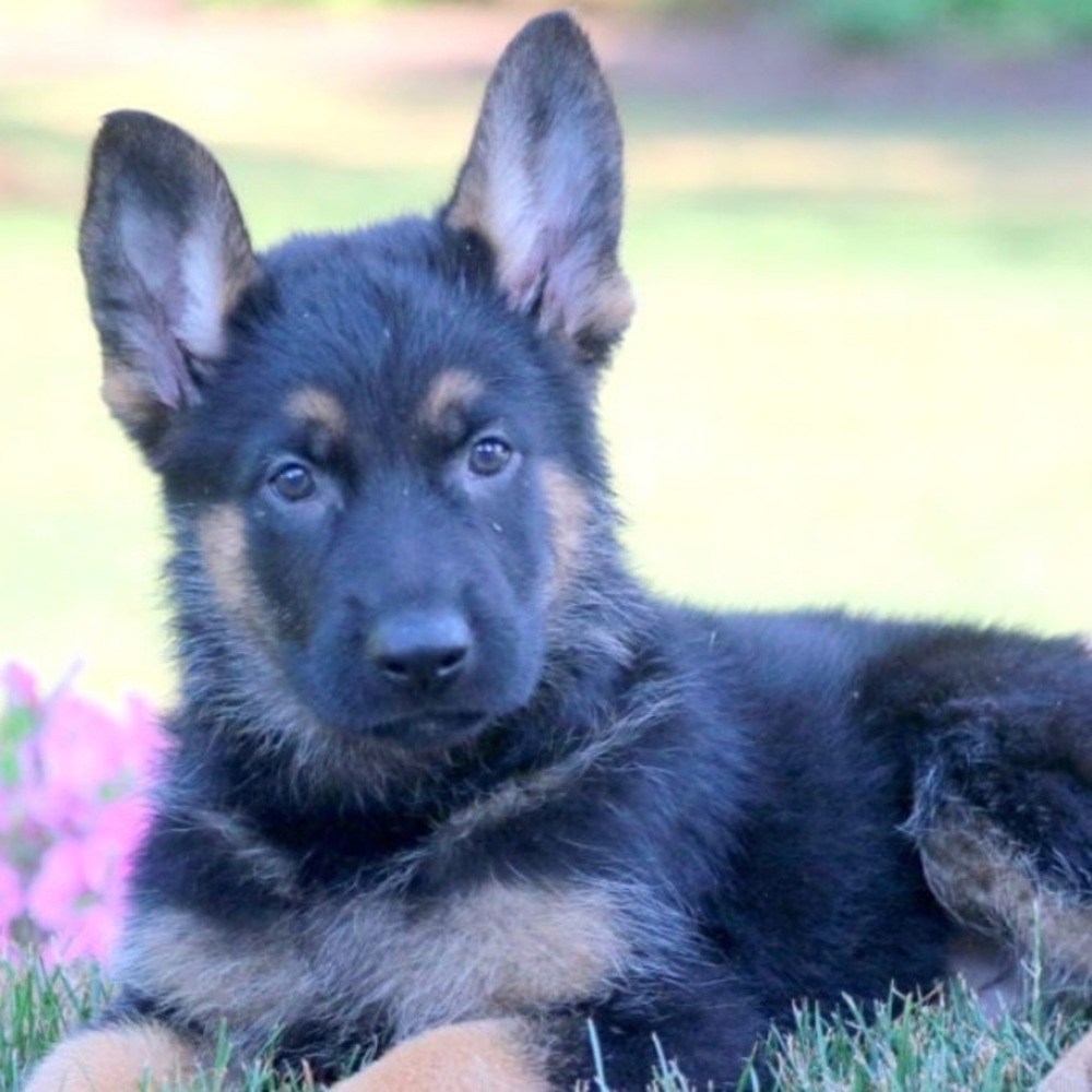 Meet your Posher, Erin